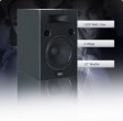 1200 Watt Lautsprecher Box 30cm Woofer 2-Wege IBS-600