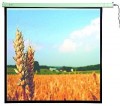 Leinwand HOLLYWOOD 250x140cm, motorisch WLMT-50
