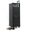 PA DJ System Soundsystem Radio Lautsprecher HOLLYWOOD DVD USB Wireless Port-USB