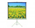 Leinwand motorisch 200 x 200 cm Hollywood WLMT-20