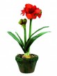 Amaryllis Pflanze mit Tropf im antiken Stil 60cm