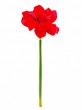 Amarylliszweig, rot, 72cm