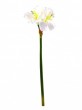 Amarylliszweig, wei�, 72cm