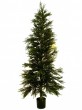 PE Edelfichte, 210cm