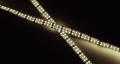 LED-Lichtleiste Strip 480 SMD LEDs 200cm warmwei� McShine Super Bright Twin