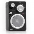 Tragbares FM Mini- Radio AUX Denver TR-45C schwarz