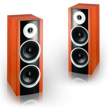 600W PAAR HIFI Lautsprecher Standboxen Anxano 300