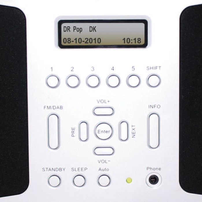 81010024
