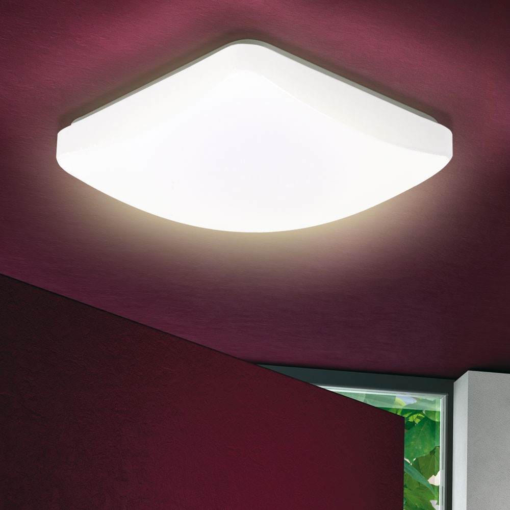 81017024 9749269 2_1