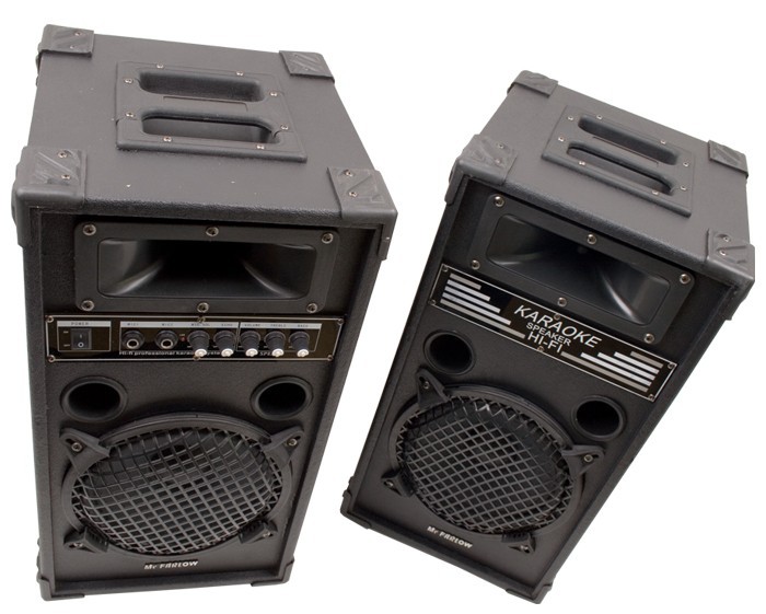 Karaoke Aktiv-Beschallungssystem McFarlow SP8AMP – Bild 2