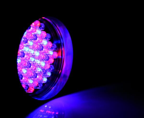 LED-Strahler Discolicht Partylicht 61 LED`s DMX-Steuerung HOLLYWOOD PAR-36 P36 – Bild 2